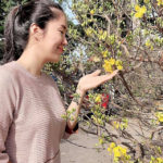 sao-viet-ket-thuc-show-dien-cuoi-nam_4